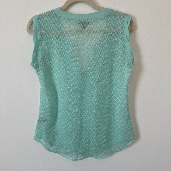 The Limited Sheer Blouse - Picture 3 of 4